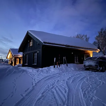 Ny Flott Hoyfjellshytte Pa Geilo! 8 Min Til Kikut 3* Geilo
