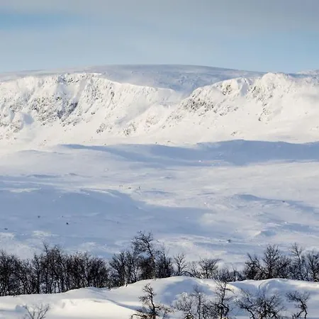 Ny Flott Hoyfjellshytte Pa Geilo! 8 Min Til Kikut 3* ヤイロ