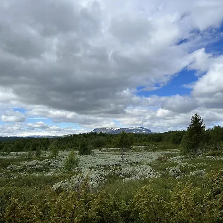 ホテル Ny Flott Hoyfjellshytte Pa Geilo! 8 Min Til Kikut