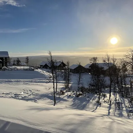 Ny Flott Hoyfjellshytte Pa Geilo! 8 Min Til Kikut 3*