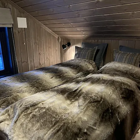 ホテル Ny Flott Hoyfjellshytte Pa Geilo! 8 Min Til Kikut 3*
